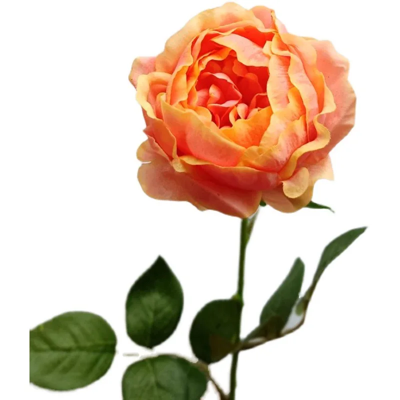 보습 모란 장미 리얼 터치 인공 모란 꽃, 홈 거실 장식, 웨딩 파티 테이블 꽃꽂이, 신제품