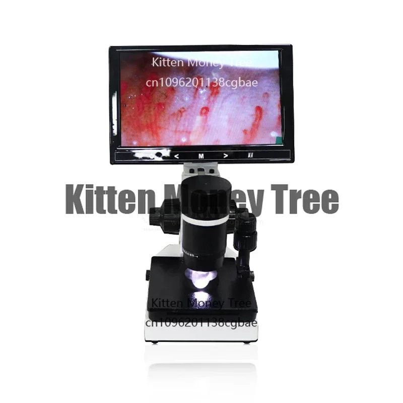

SY-B198 Capillary Microscope With 9 Inch LCD Screen Nail Fold Capillaroscope