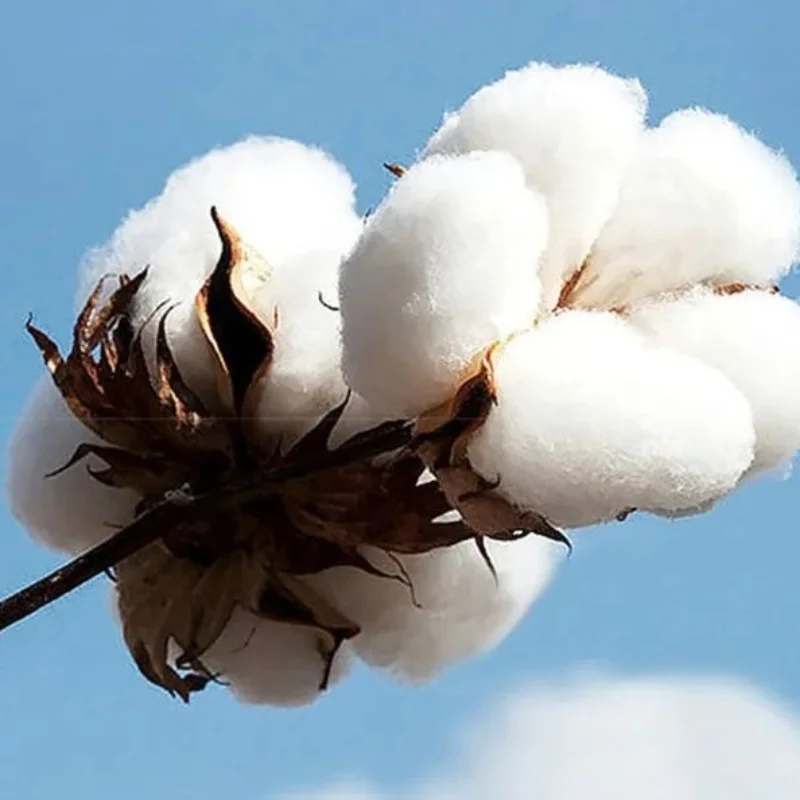 مغني الراب المستقبل هندريكس تي شيرت مطبوع 2025 الصيف الرجال النساء الهيب هوب 90s ريترو الشارع ارتداء المتضخم القطن تي شيرت #5