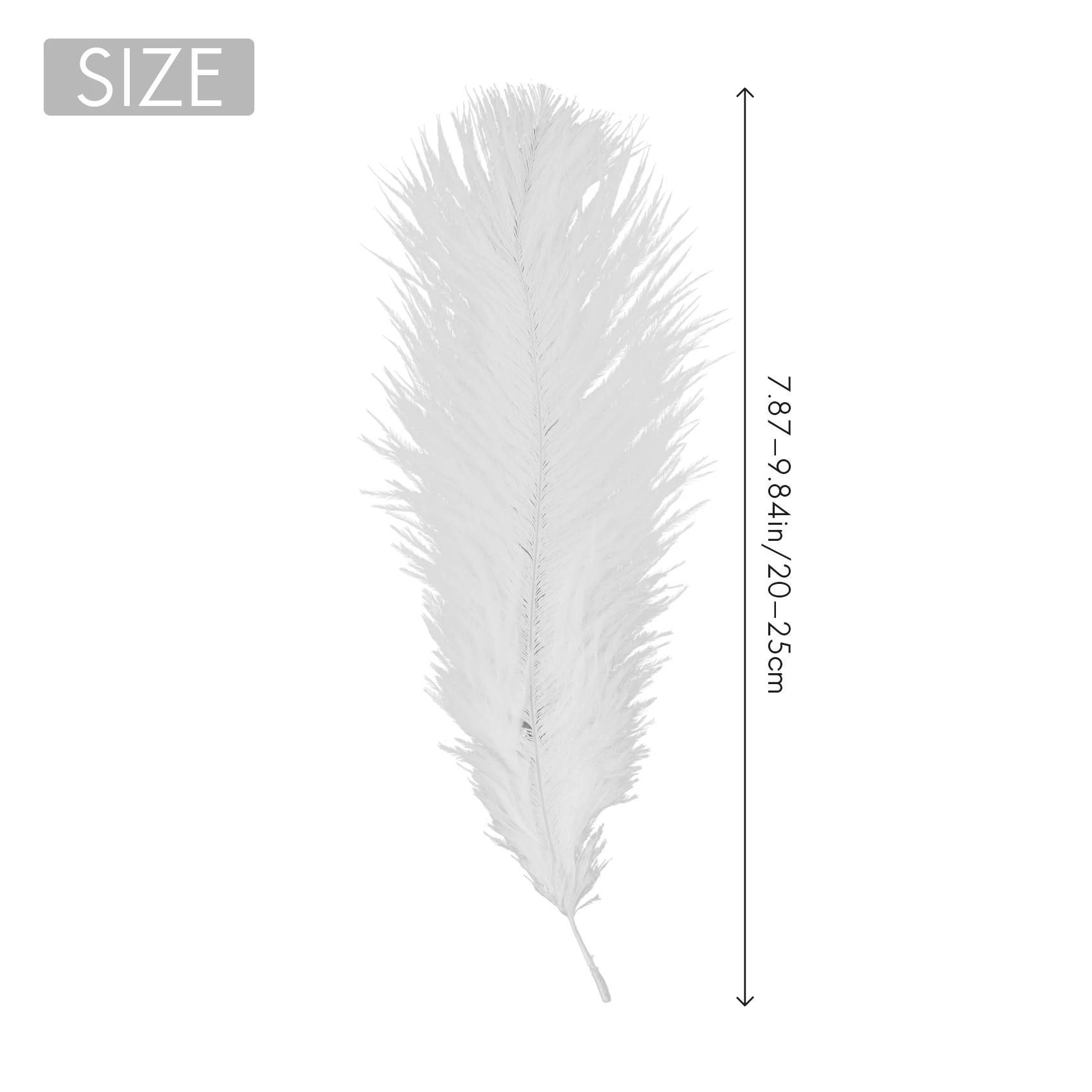 10 Pieces White Natural Ostrich 20-25cm Wedding DIY