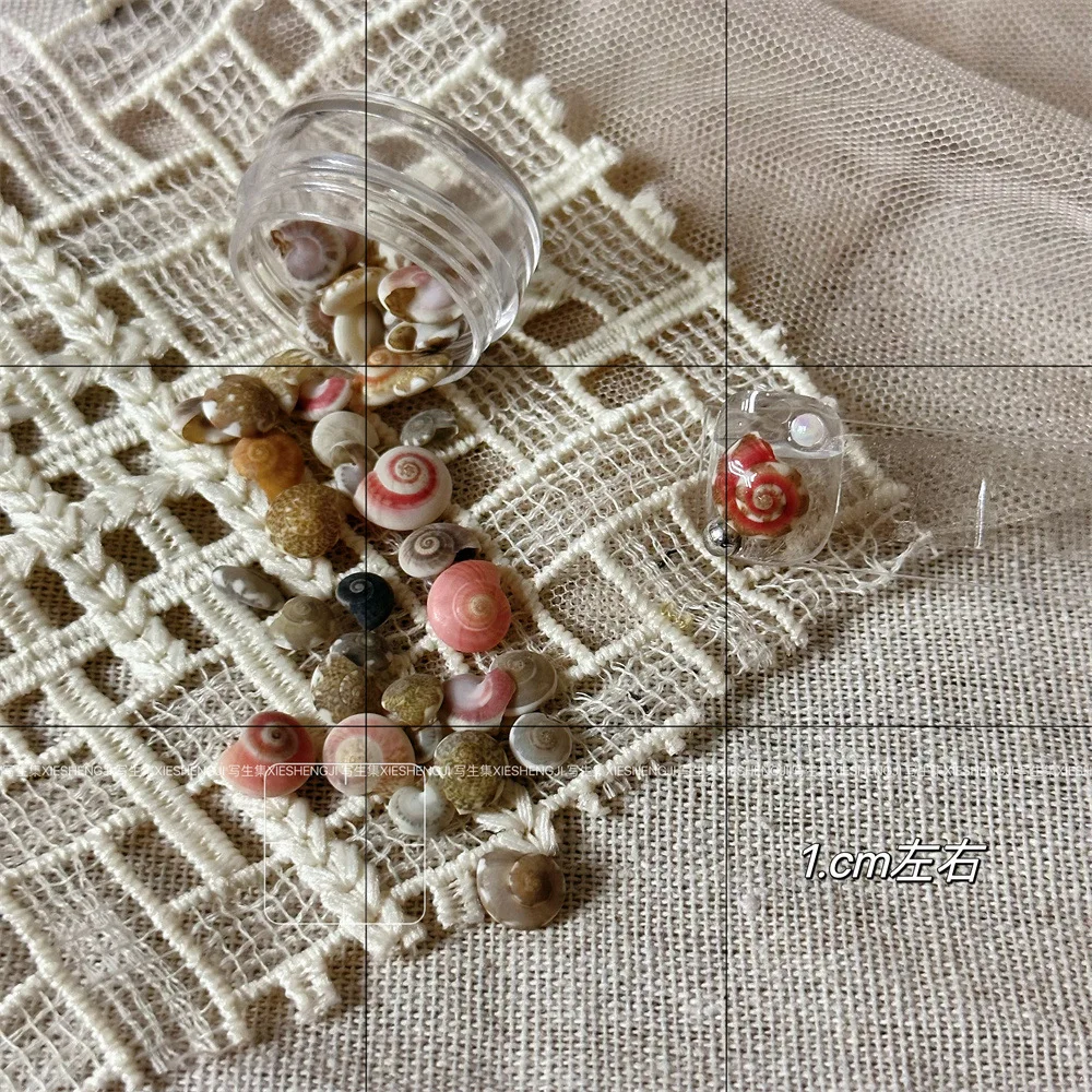 해변 휴가 스타일 천연 조가비 껍질 네일 아트 쥬얼리 자갈 껍질 네일 아트 재료