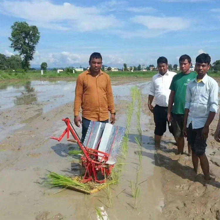 

High efficiency manual paddy rice transplanter 2 rows rice planting machine