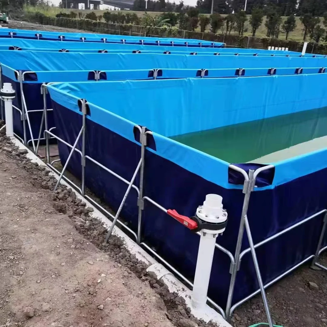 Big size Customized Professional PVC Fish Farming Tank Recirculating Aquaculture System with round Drum Filter for all Species