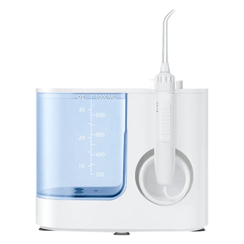 Electric Dental Water Flosser Home Use Oral Irrigator 10 Level Water Pressure 1000ML Tank 6 Water Jet Teeth Whitening Tool