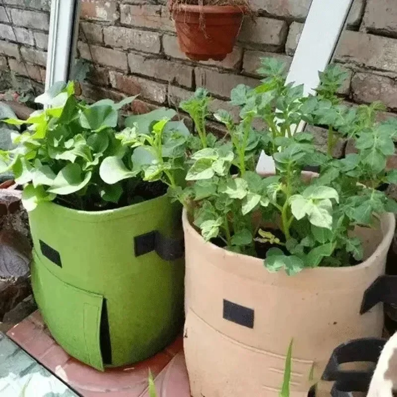 Reusable Garden Grow Bags for Vegetables  Potatoes Greenhouse Vertical Planting Moisturizing  Nonwoven Fabric Plant Grow Bags gallery 1