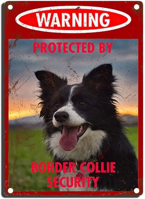 Vintage Dog Metal Tin Signs - Warning Protected by Border Collie Security Tin Sign Retro Home Wall Decorative