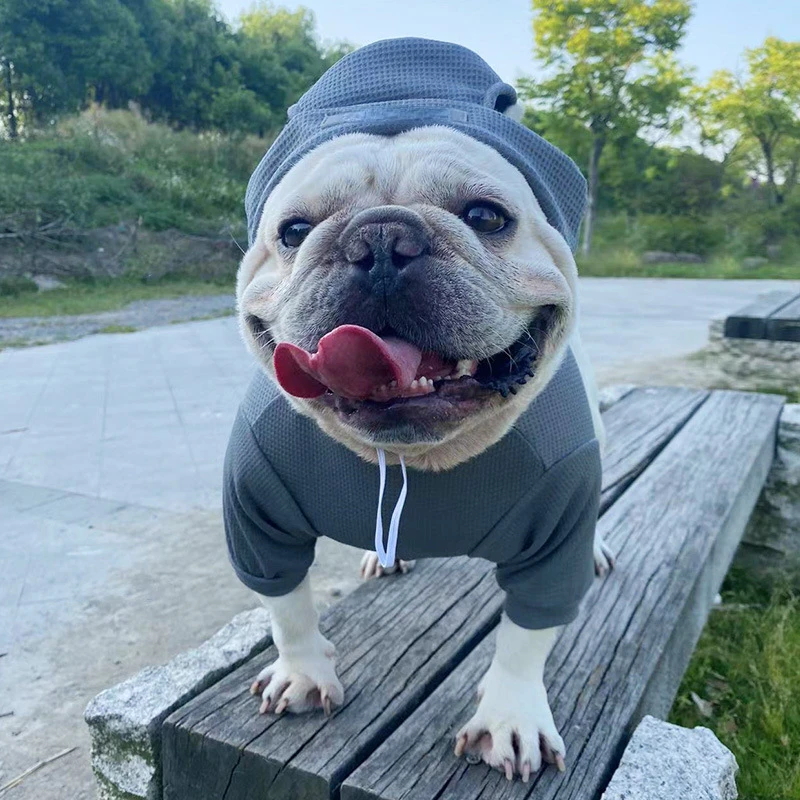 Pet Waffle Sweater Cute Hat Sports Suit Pet Clothing Dog Dog Clothes French Fight Teddy Schnauzer Bottoming Shirt Pet Clothes