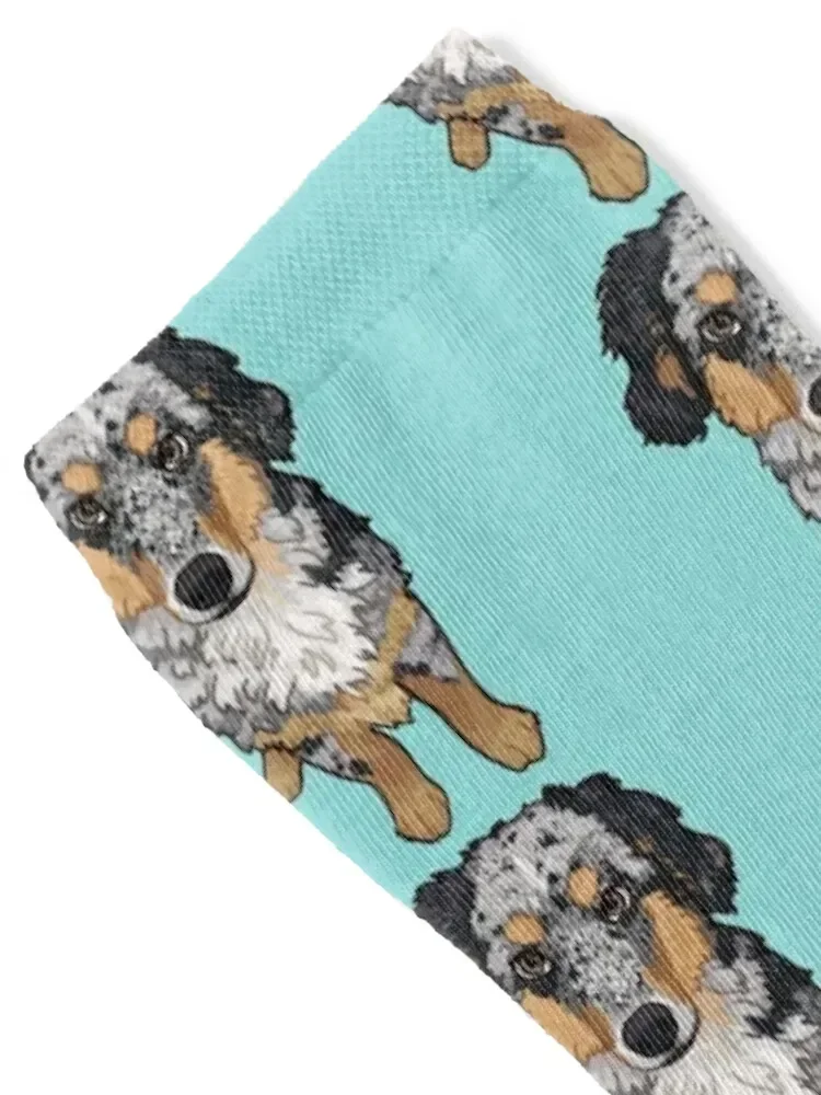 Blue Merle Aussie Portrait Full body / Blue Merle Australian Shepherd dog Socks moving stockings hiphop Socks Male Women's