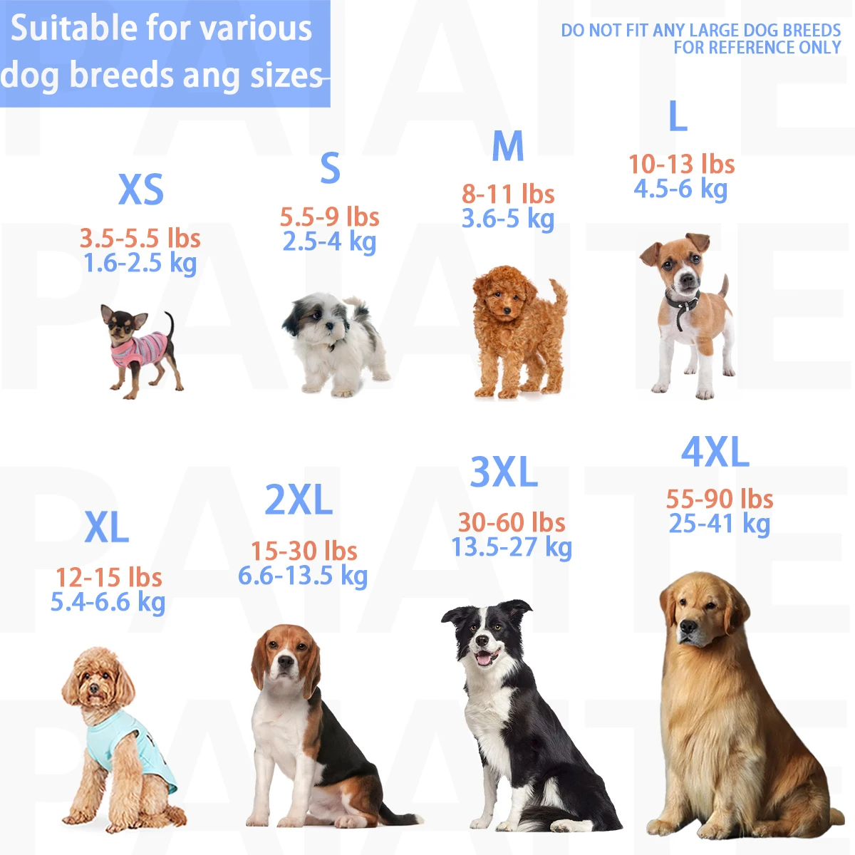 Thumbnail 3 - #43 Dog Apparel Comparison Guide