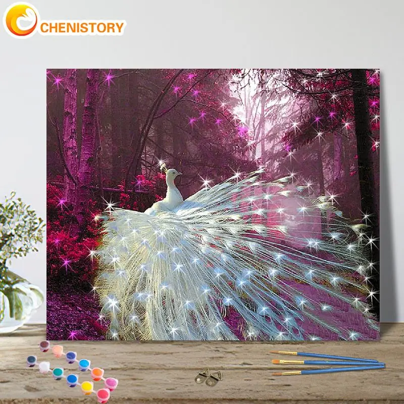 

CHENISTORY Picture By Number White Peacock Drawing On Canvas Handpainted Paintings Art Gift Oil Painting By Numbers Animal Home