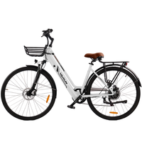 VARUN VARC7008 Adult Electric Bike 250W Motor City Electric Bicycle 36V 10AH Battery 27.5 Inch Tire Commuter E-bike