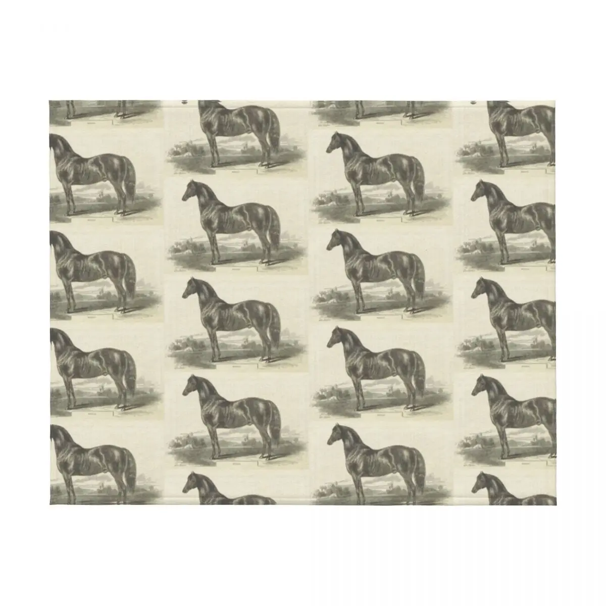 خمر مورغان الحصان النقش رمي بطانية العلامة التجارية الفاخرة مصمم متعدد الأغراض المصممين البطانيات