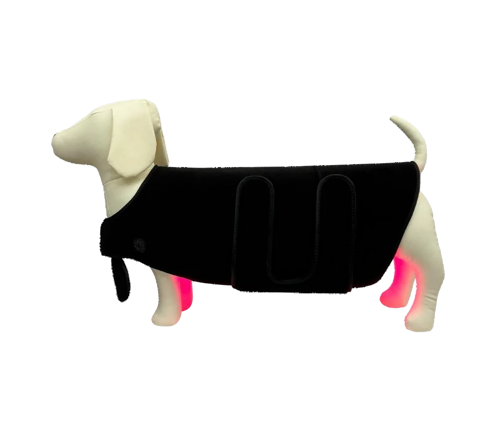 Veterinary-Grade Pet Infrared Red Light Therapy for Pain Relief &  Care  fast shipping
