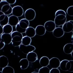 BestScope BS-2041B (DF) Sistema Óptico Infinito Microscópio Binocular Biológico de Campo Escuro Avançado para Uso Médico 10 principais vendas microscópio de campo escuro - №9