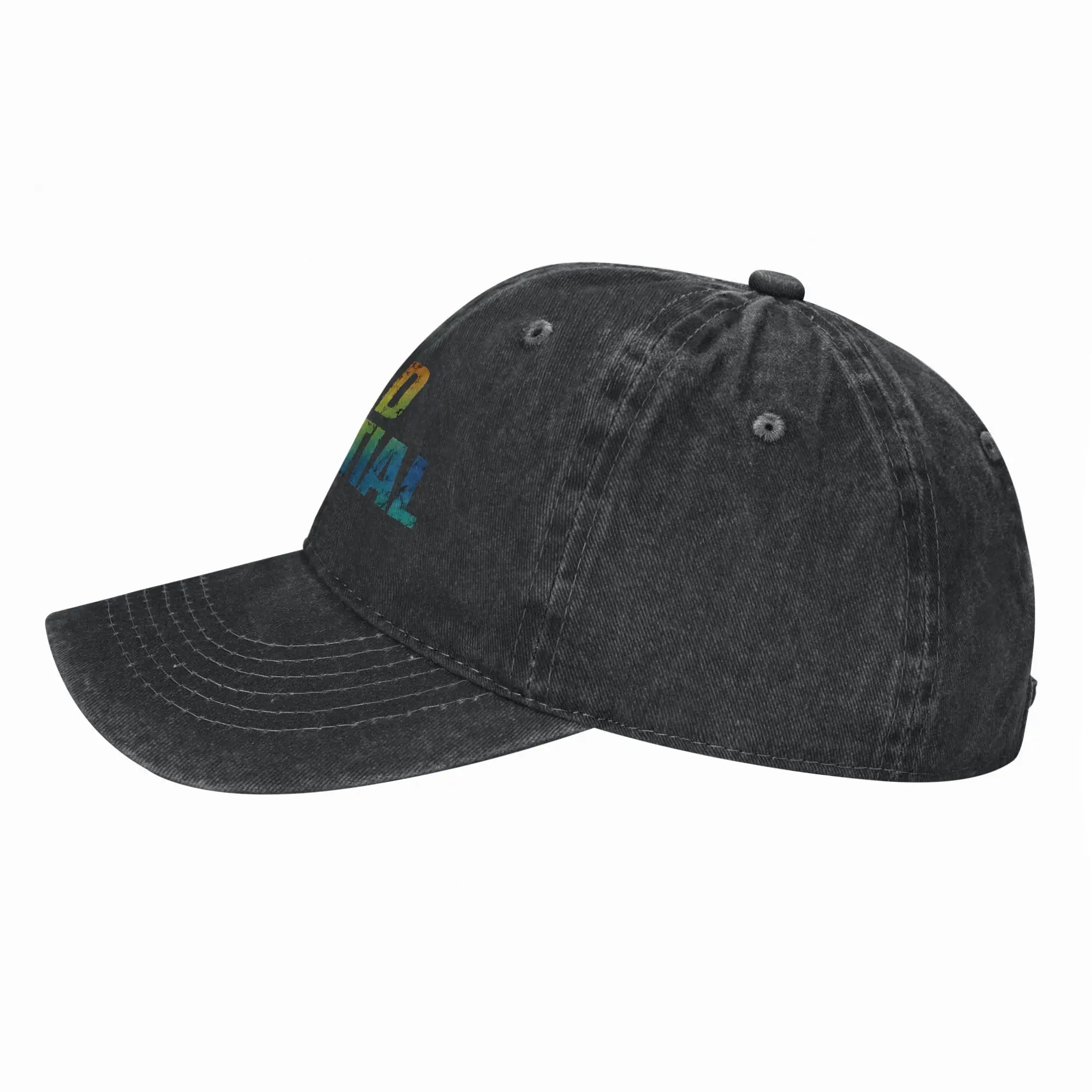 I Had Potential Funny Meme Men Women Baseball Cap Project Hail Mary  Distressed Denim Washed Hat Golf Gift Snapback Hat