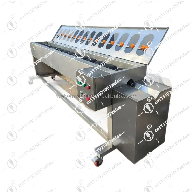 Stable Operation of Motor-driven 380V Radish, Asparagus, Eggplant, Yam Peeling Machine, Fruit and Vegetable Peeling Equipment
