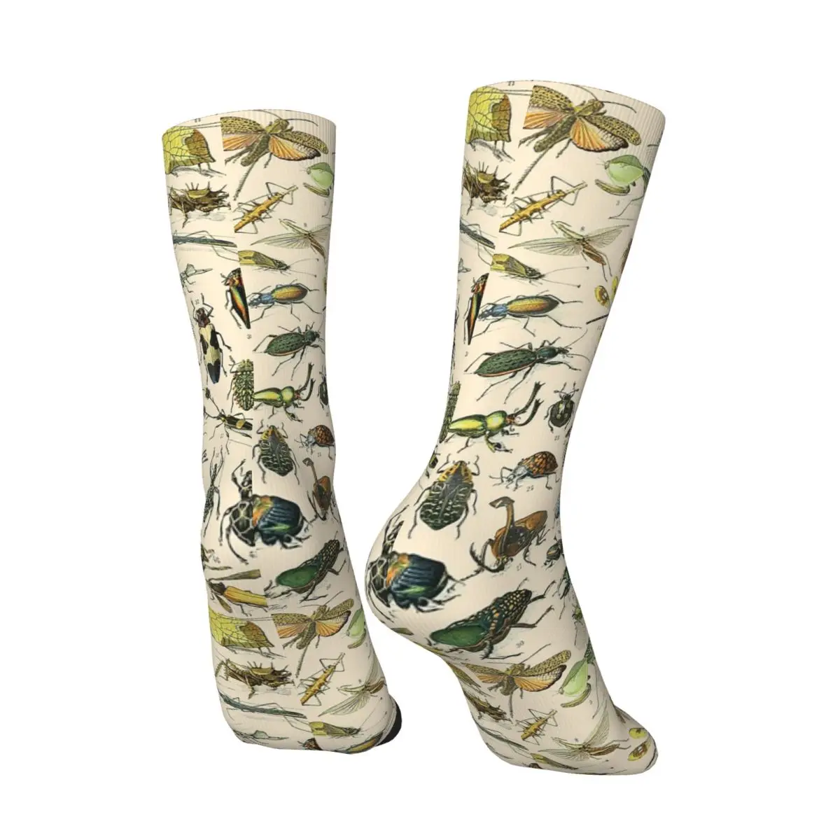 All Seasons Adolphe Millot Spider Insectes Science Illustration Socks Harajuku Sport Middle Tube Socks Stockings for Men Women
