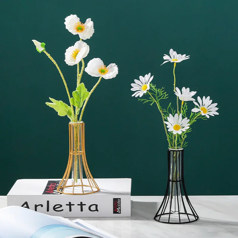 Transparent iron vases, test tubes, creative home decor, living room, dry vases, hydroponic flower arrangement, decoration