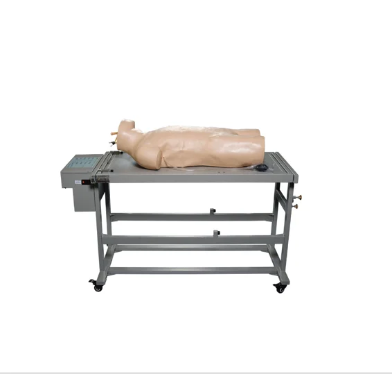 GD/L260A General Doctor Advanced Comprehensive Puncture Training Simulator Percussion Manikin