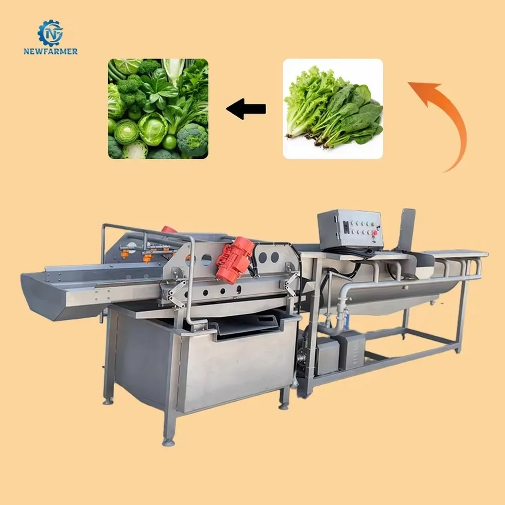 Vegetable Washing Machine 800-1000kg/h Air Bubble Ozone Cleaner SS304 Leafy Green Cabbage Washer Commercial