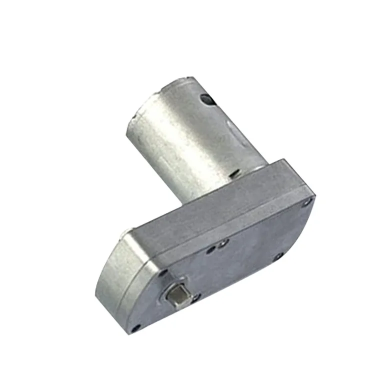 24V Parking Lock Square Reduction Motor BY42F-755 Vending Machine Square Gearbox Motor