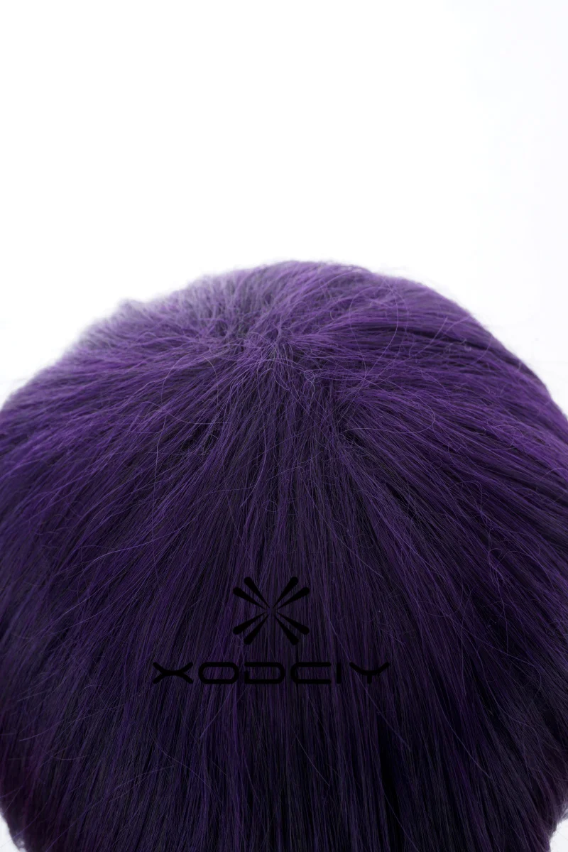 Anime Takasugi Shinsuke Cosplay perruque violet foncé perruques courtes YATO Cosplay Anime Cosplay Costumes perruque résistant à la chaleur cheveux synthétiques