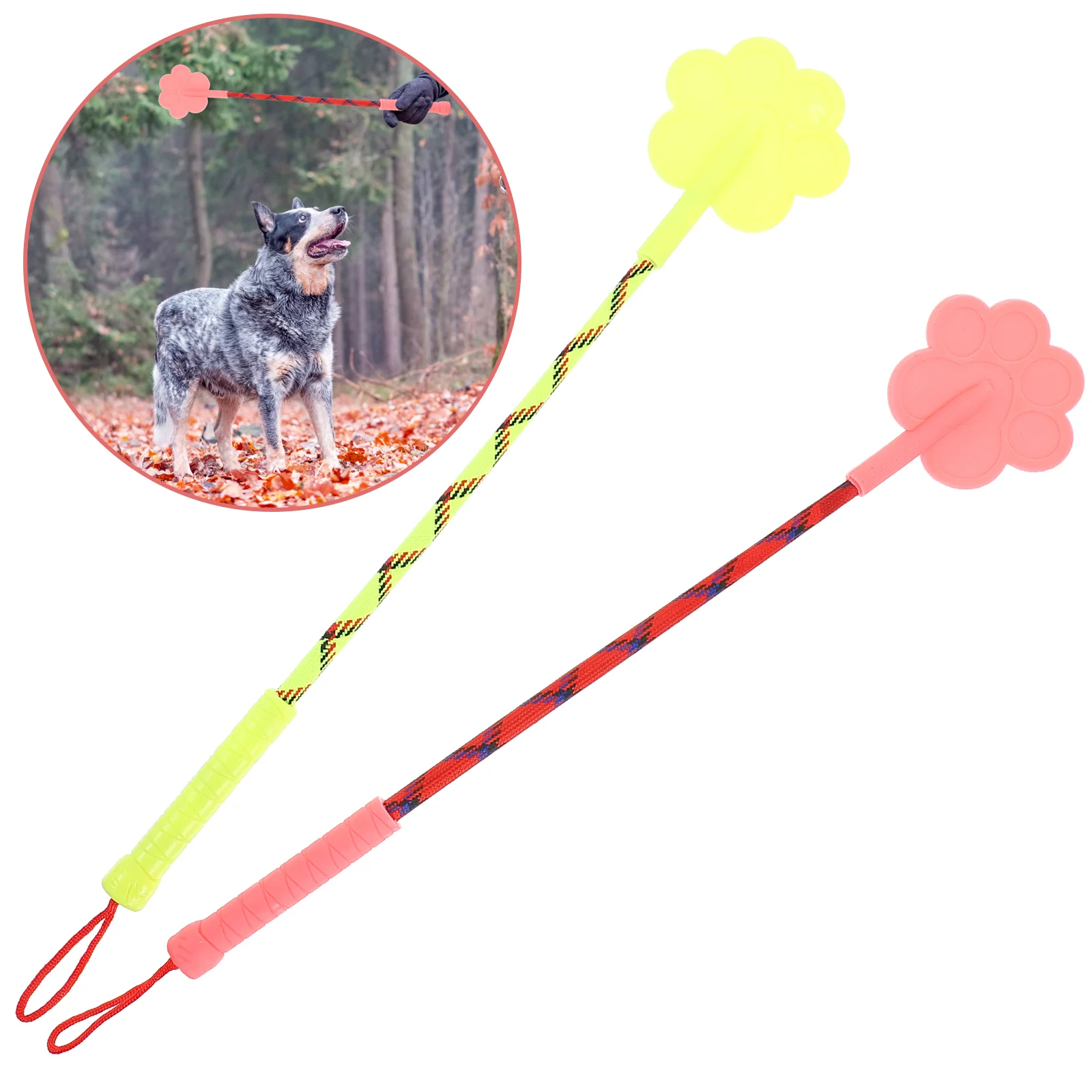 2 Pcs Target Sticks for Dog Training Clicker Dogs Pet Supplies Puppy Accessory Tool Miss