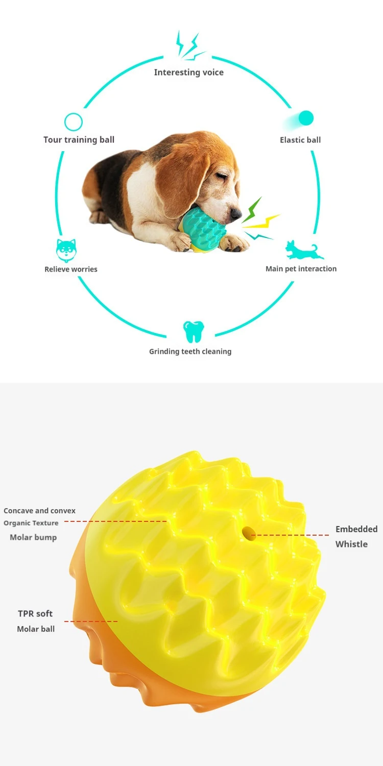 Langlebiger Bissfester Elastischer Quietschball, Eingebauter Sound Zahnreinigungsspielzeug für Hunde und Katzen im Haus – Detail 2