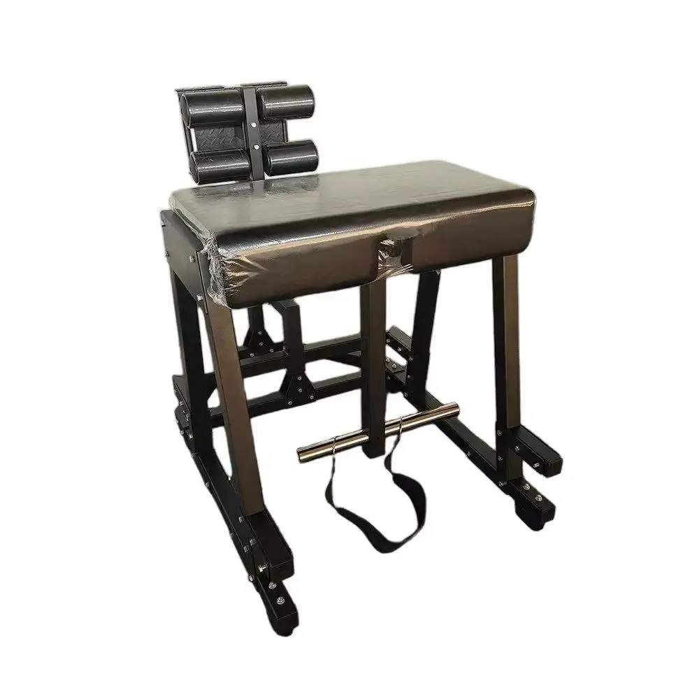 Commercial Reverse Hyperextension Roman Chair Gym Fitness Equipmentpromote sales