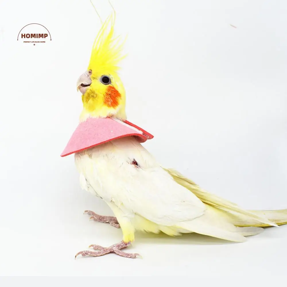 

Anti-bite Anti-peckin for Bird Neck Protective Bird Neck Sleeve Bird Cloak Bird Recovery Collar Parrot Elizabethan Circle