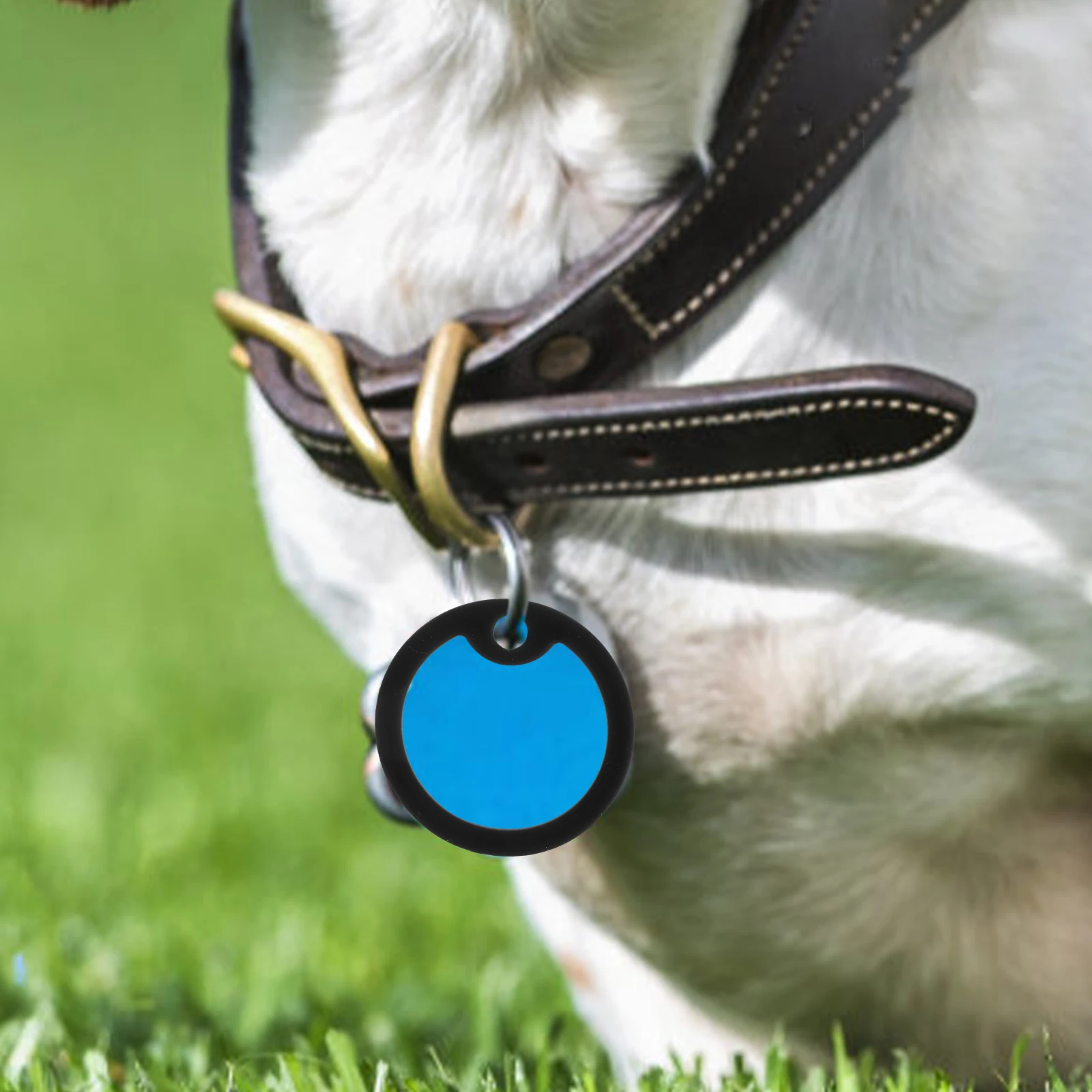 

15 Pcs Tag Silencers Silicone Ring Cover Reduce Noise Protect Edges Pet Tags Accessories Dog Collar Dog Tag Ring Pet Supplies