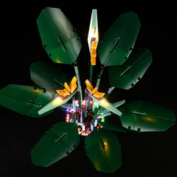 LED Light Kit For Creator Expert 10289 Bird of Paradise Bouquet DIY Light Toy Set(Not Included Building Blocks)