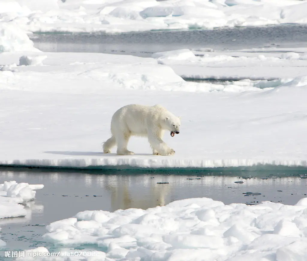 

RC On-Road Model Drift Car New LED Night 5mm & 3mm Headlamps Headlights Light