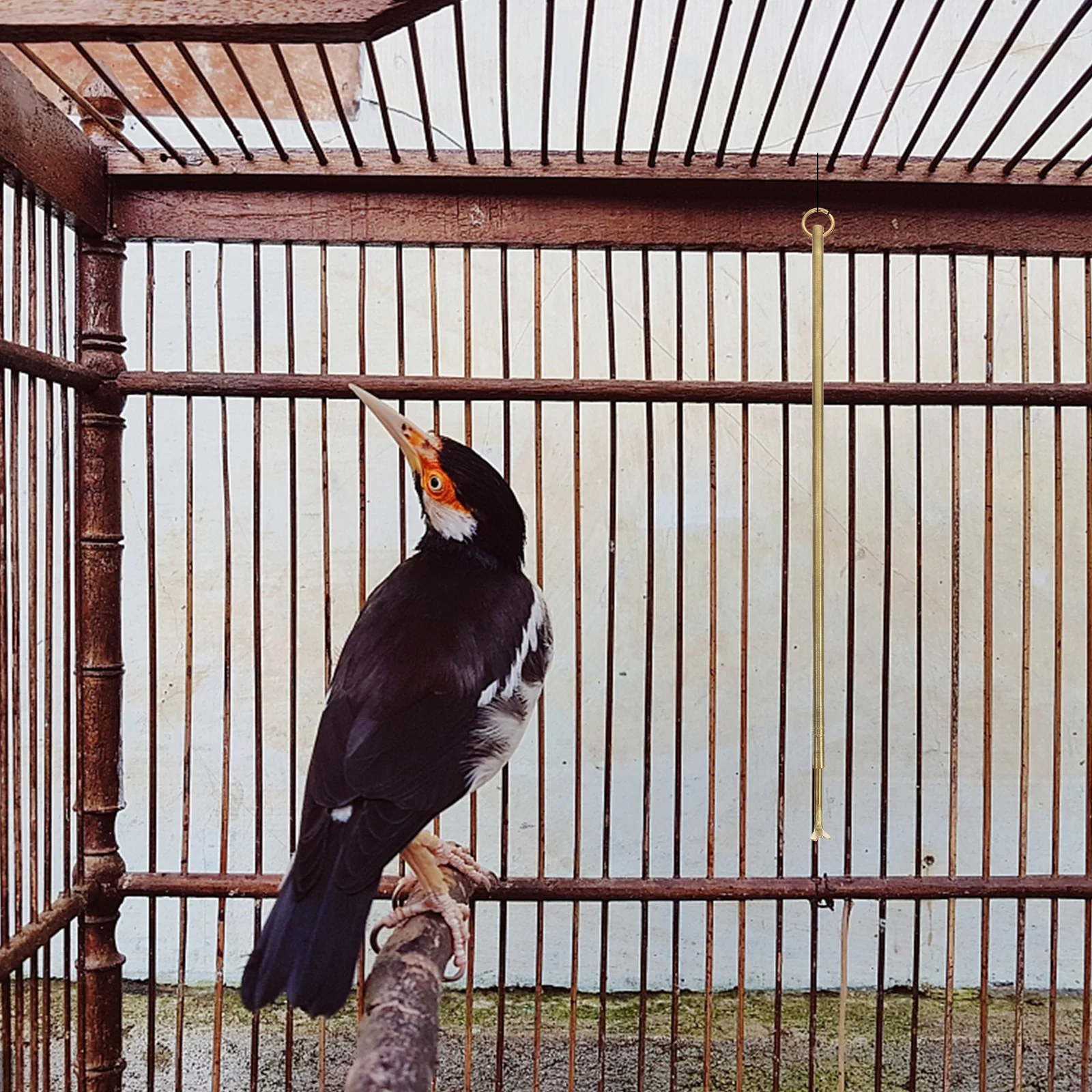 

Bird Poop Remover Long Handle Brass Cleaning Tool For Bird Cage Cleaner Small Animals Habitat Guano Removal Pet Cage