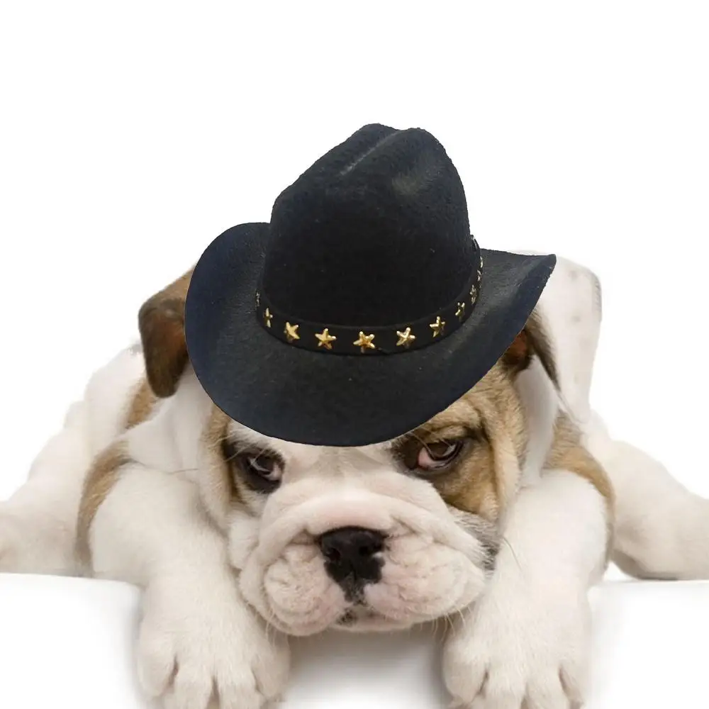 Small pet Cowboy Hat for Dogs cats Cowboy Hat pet Halloween Costumes Party Decoration Pet role-playing hat mini cowboy hat