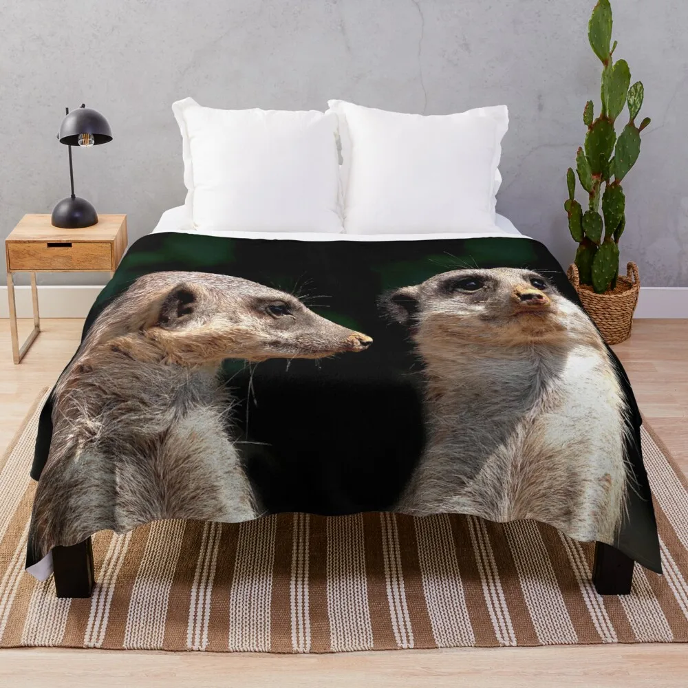 Meerkats Throw Blanket blankets for winter Retro Blankets For Sofa