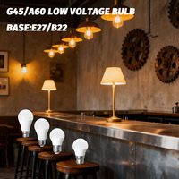 3pcs DC AC 12V 24V 36V 48V LED Bulb Lights E27 B22 lampada lamp 3W 5W 10W spot bulb Led Light Bulbs for home Outdoor Lighting