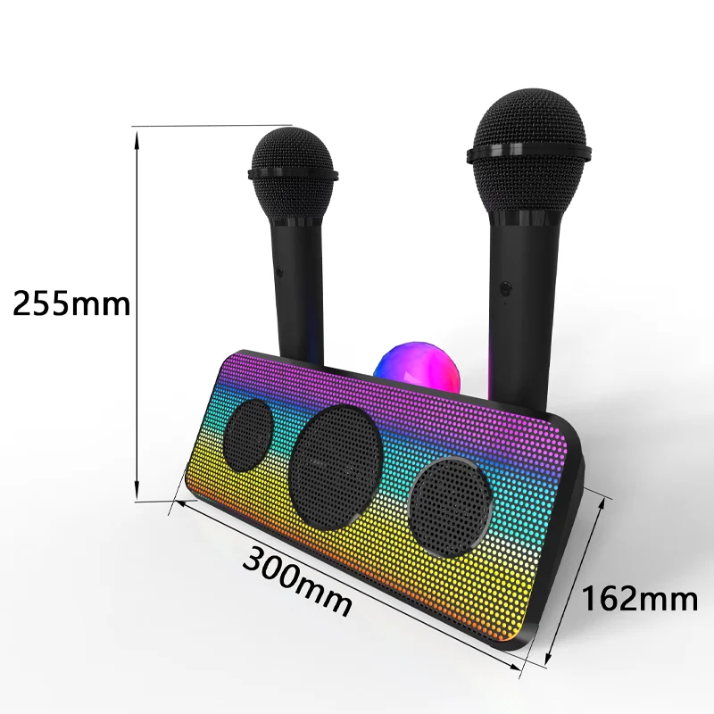 USB-C/Type-C Portable/Wireless/Compact Bluetooth/AUX Input Light up Disco karaoke speaker with dual microphone