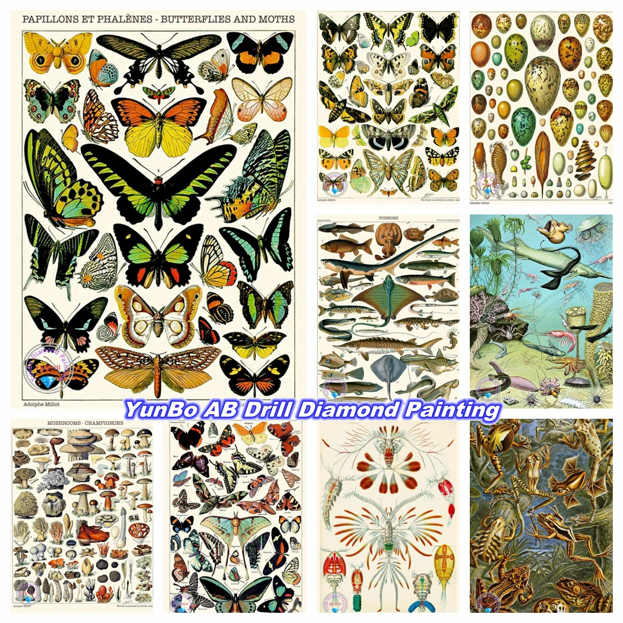 

Animal Encyclopedia Illustration DIY AB Diamond Painting Mosaic Butterfly Mushroom Cross Stitch kit Rhinestones Craft Home Decor