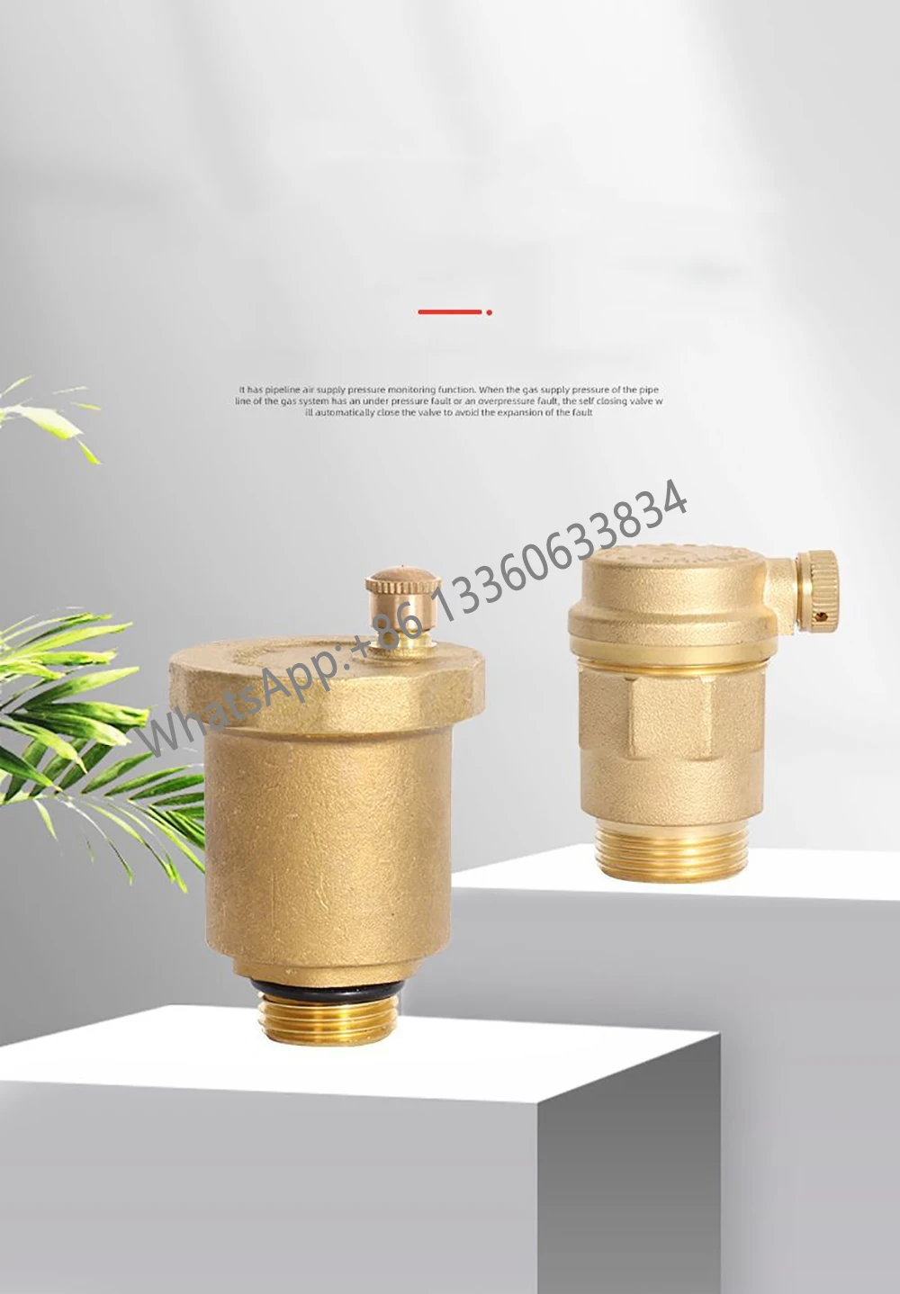 Automatic Pressure Valve Brass Air Relief Valve DN8 DN10 DN15 N20 For Solar Water Heater Standard 1/2