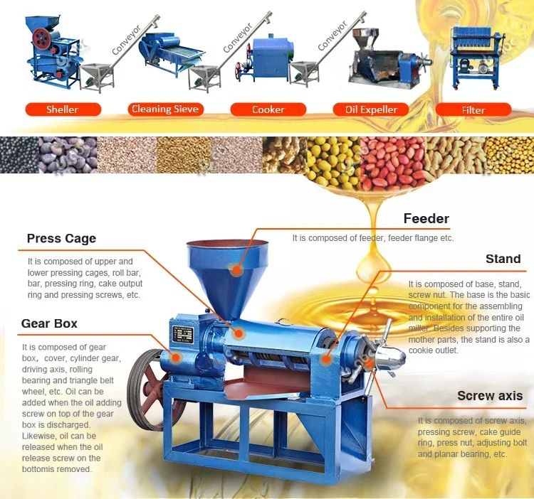 2023 Discount Peanut Mustard Screw Small Oil Press Machine for Making  From Castor,Sesame,Soybean,Groundnut Peanut,Sunflower