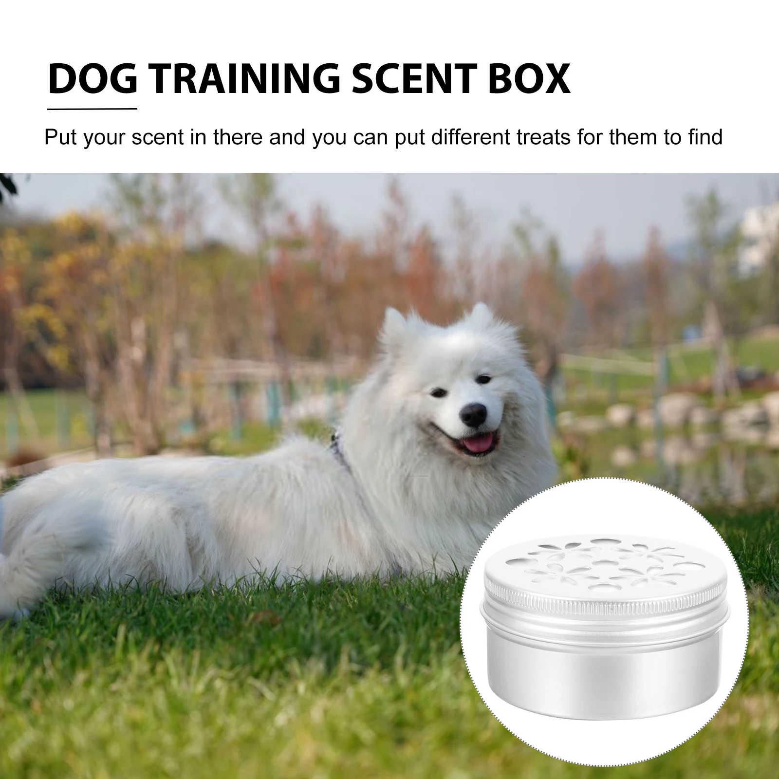 

10pcs Scent Training Container Odor Box Aluminum Sniffle Box Bite Resistant Dog Nose Training Tool Aroma Holder Scent Work