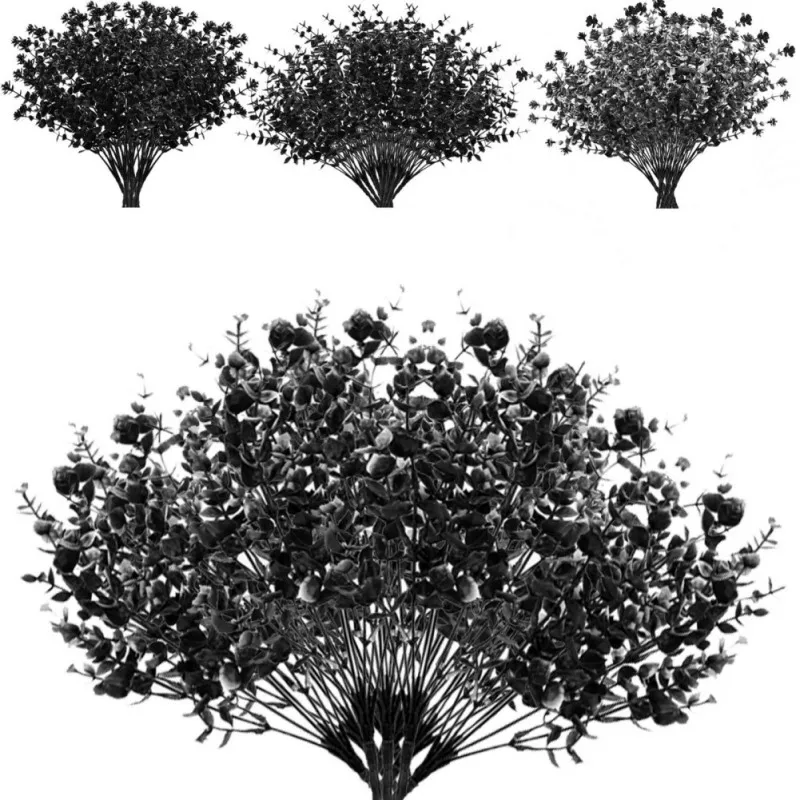 Black Eucalyptus Ar…