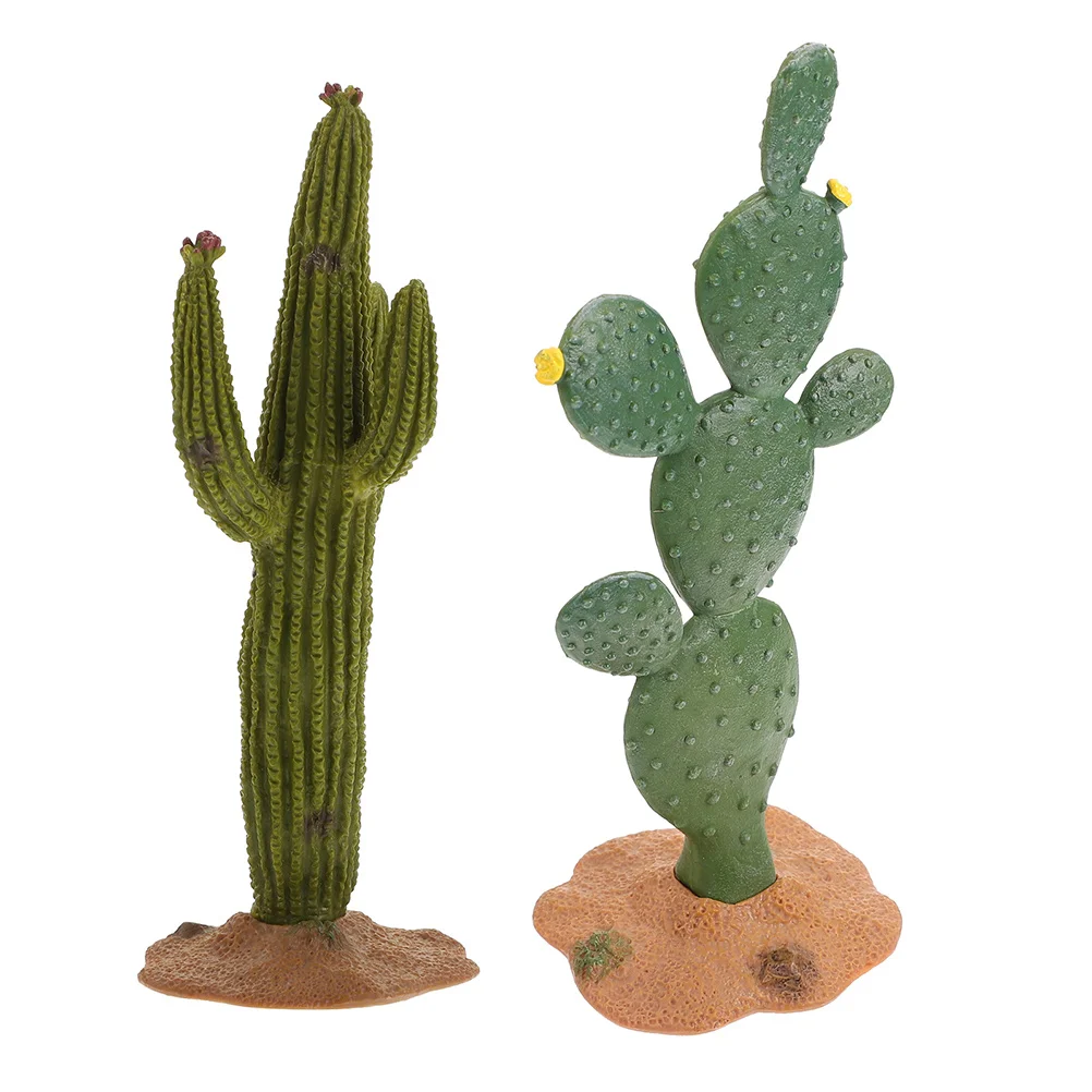 2 Pcs Fake Plants Cactus Model Decor Simulated Adornments Succulent Micro Landscaping Green Lifelike Figurine Office