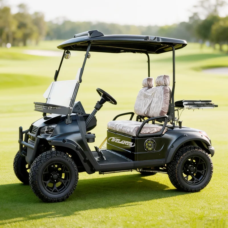 

Настроить уличный легальный удобный складной клубный экскурсионный автомобиль 2/4/6 мест 48V60V72V внедорожные 5KW 7KW электрические тележки для гольфа