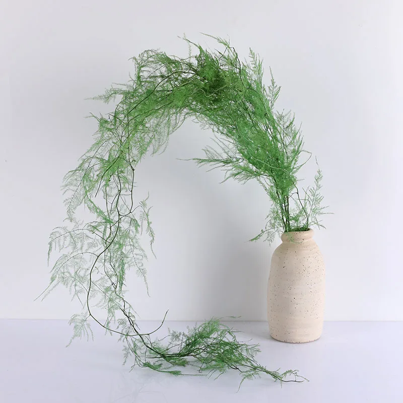 5 Branches Preserved Asparagus Fern Immortal Flower bouquet DIY Flower Materials Eternal  Natural Real Flower Home Office Decor