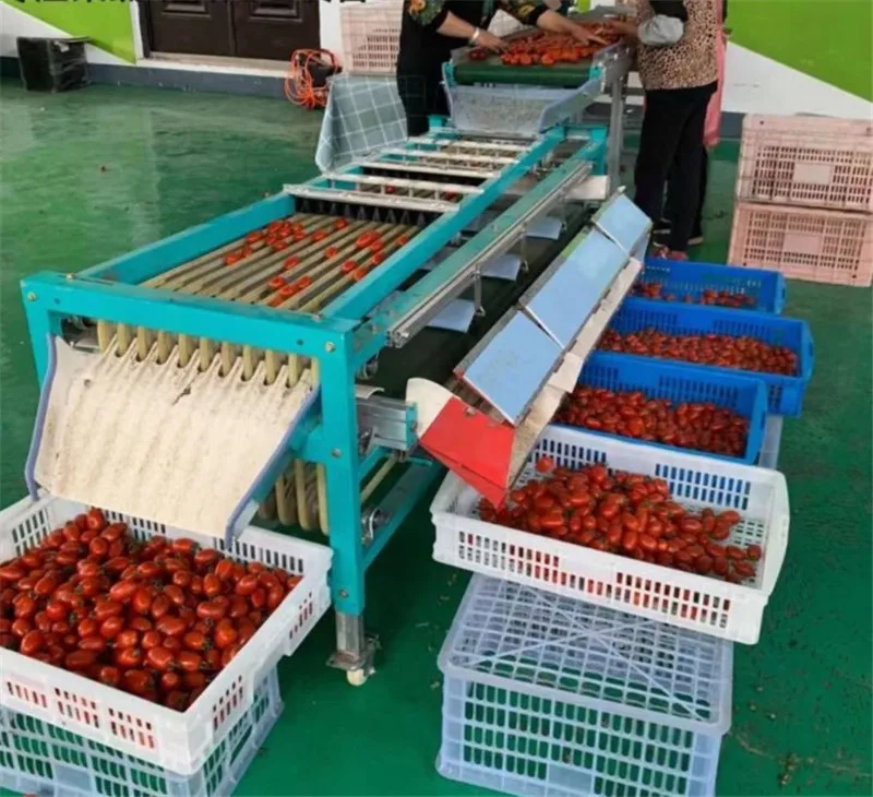 Garlic Avocado Sorting Machine Cherry Tomatoes Blueberry Dates Fruit Grading Machine Vegetable Hawthorn Walnut Potato Classifier