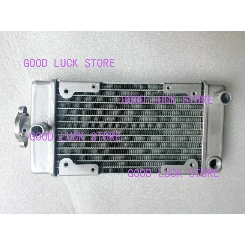 Piezas de motor de motocicleta, radiador enfriador de agua para motor Regal Raptor DD250E-9A DD250E-9B DD250G-2N DD350E-6C 250cc