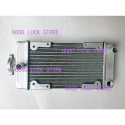 오토바이 엔진 부품 워터 쿨러 라디에이터, 리갈 랩터 DD250E-9A DD250E-9B DD250G-2N DD350E-6C 250cc 엔진