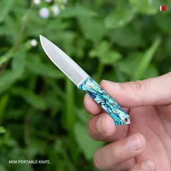 Portable Mini Knife Demolition Express Tool Collection Knife Keychain Small Kitchen Knife Out of The Box Portable Tool Gift